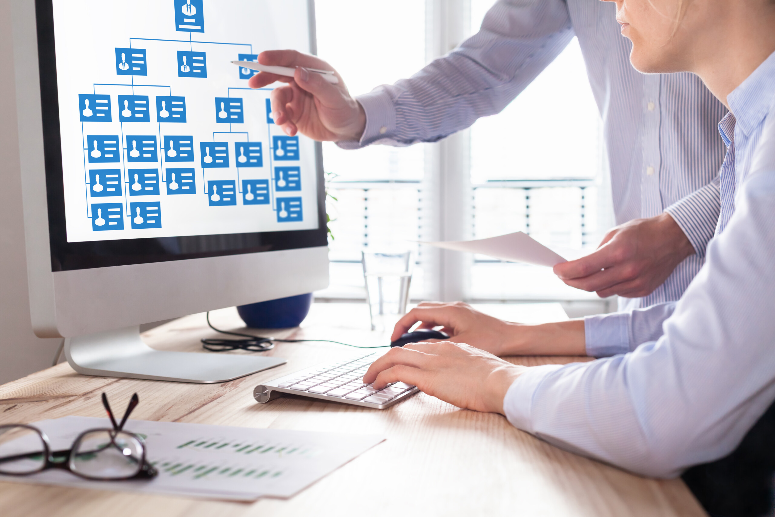Organization user roles granular