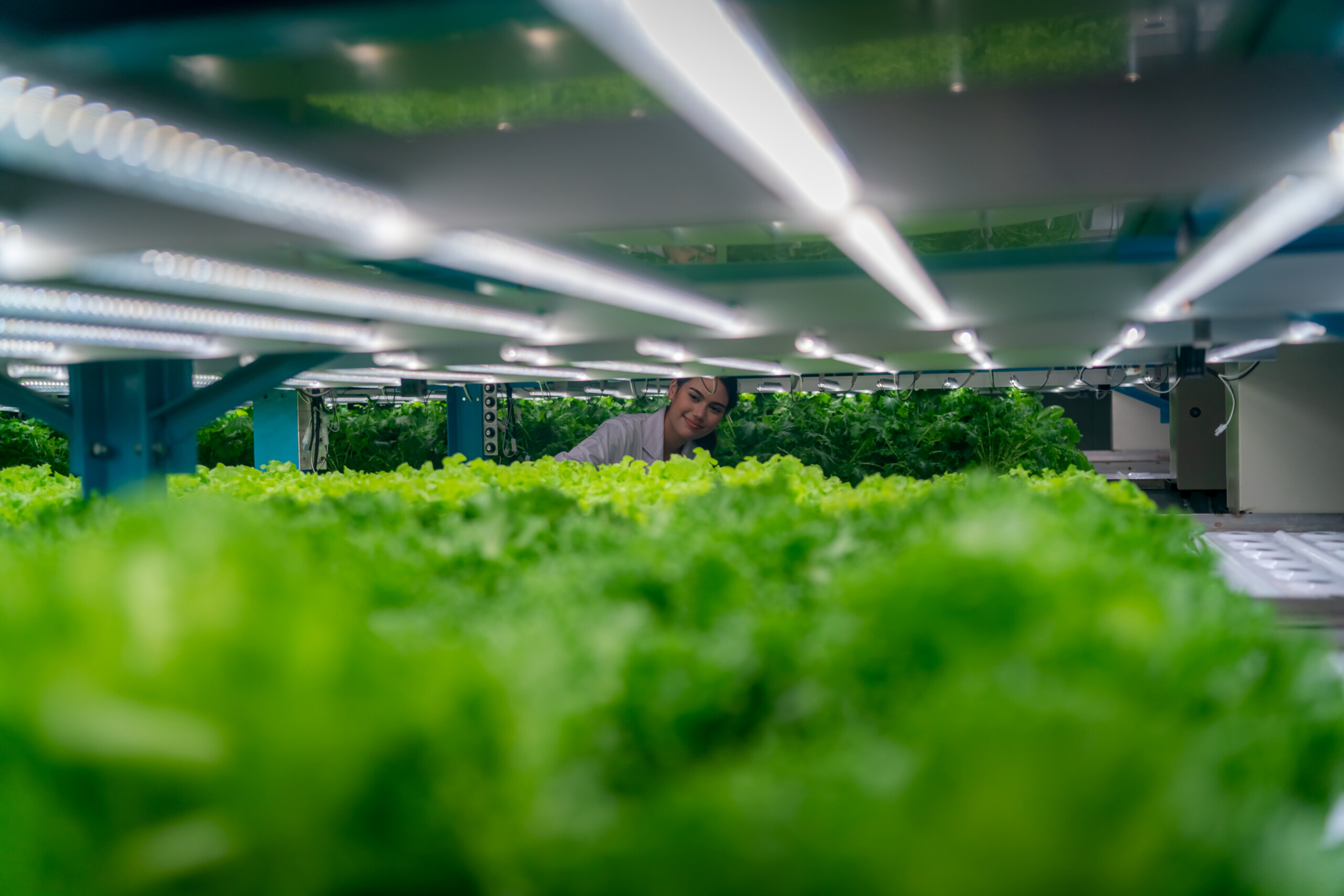AI for good hydroponic farming