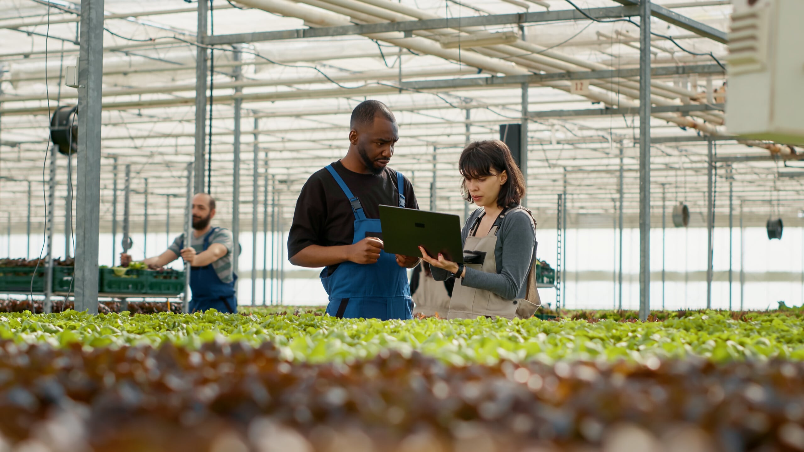Agriculture management SaaS