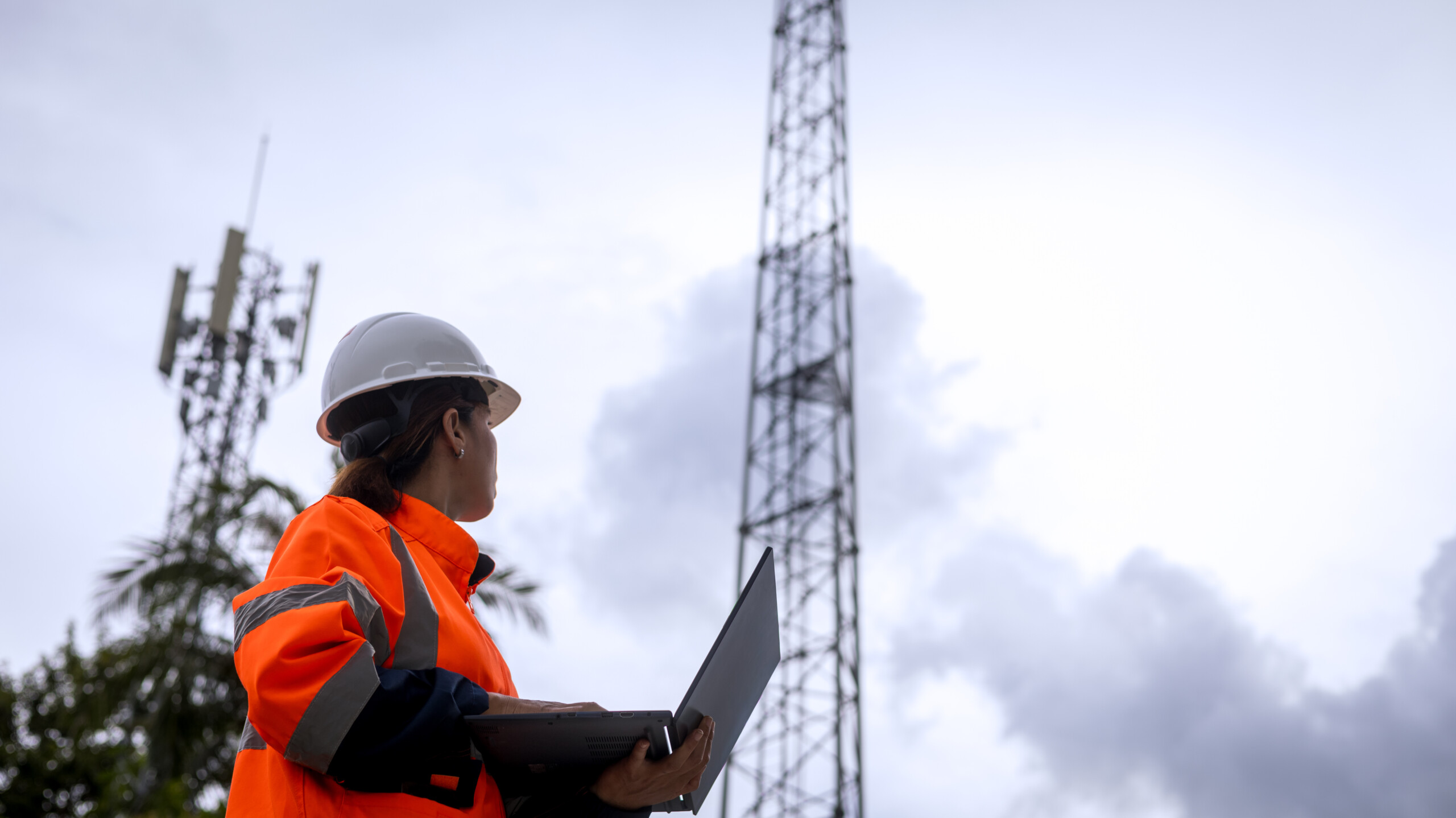 Telecomms management SaaS