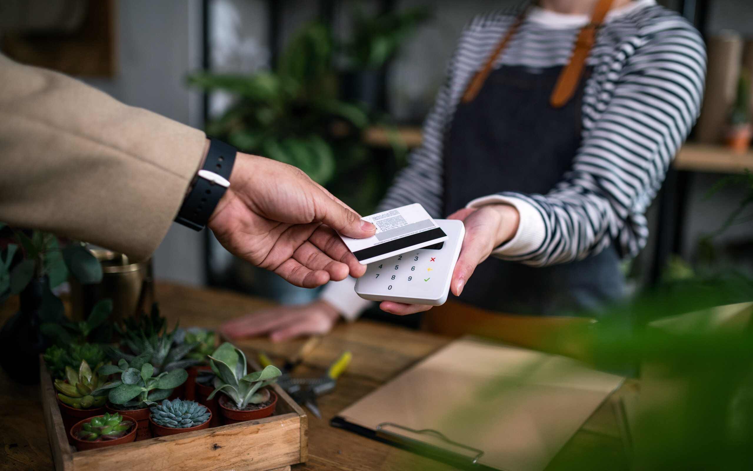 Customer paying in potted plant store, small business and contactless payment concept.